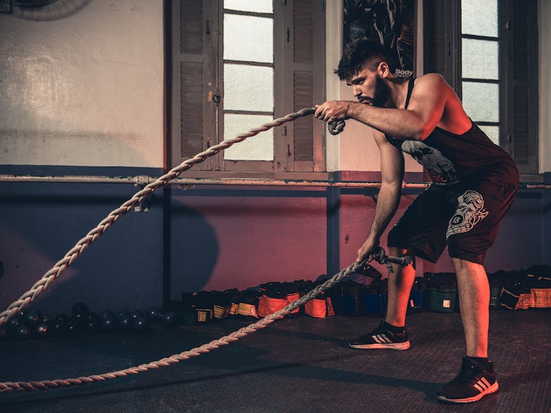 Gym analytics dashboard showing member segments